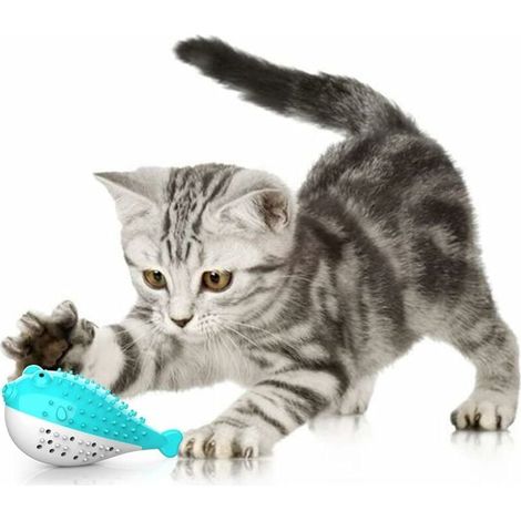 Jouet Dentaire Chat, Jouet pour Chat Jouet Molaire en SiliCône à Macher Jouet Chaton Cataire Brosse à Dents Forme de Poisson Jouet Interactif Hygiène Dentaire Chat(Bleu)-Fei Yu (1/4)