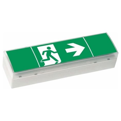 Ceag Notlichtsysteme Lámparas de Seguridad LED Gris Claro