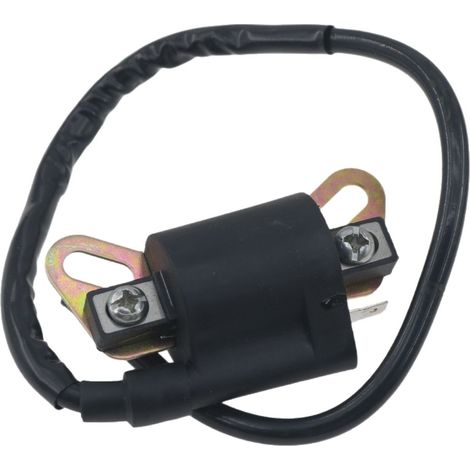 La bobine d'allumage haute tension modifiée pour moteur de moto est un modèle très populaire en Asie du Sud-Est. (1/5)
