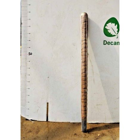 TUTORI MUSCHIATI PER PIANTE (VARIE DIMENSIONI)-D 50 H. 80 CM