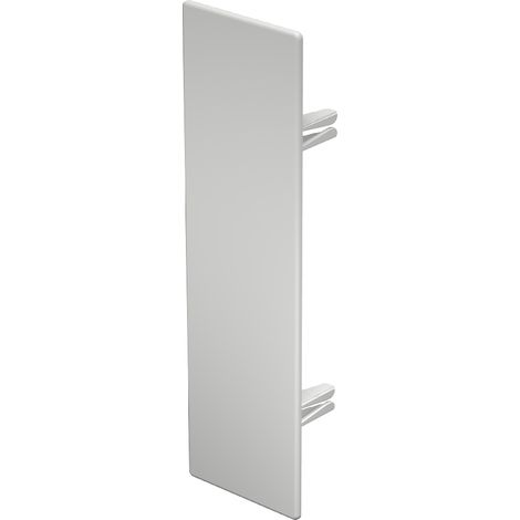 OBO Bettermann Terminale 60x210mm Polivinilcloruro bianco puro RAL 9010, 6193358