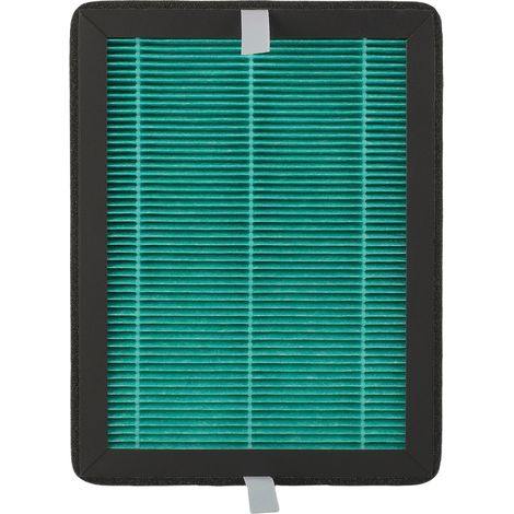 Filtre de Remplacement pour Déshumidificateur Hysure VIRGO - Filtration Haute Performance Particules et Carbone Actif pour Maison Bureau Atelier Cave Vert (1/5)