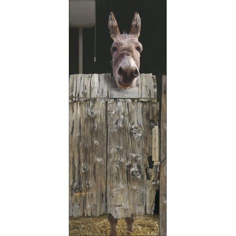 PLAGE 141005 Adesivo per pareti e Porte, Formato Grande, Trompe L'Oeil Porta-Culo, 204 x 83 cm (1/2)
