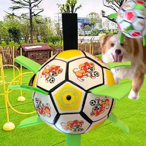 Jouet Chien Ballon Anti-Ennui pour Petits et Moyens Chiens, Parfait pour Jeux Intérieur et Extérieur (avec Pompe et Surprise) (1/3)