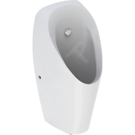 Geberit 116143001 Urinoir Tamina, avec commande intégrée, pile (1/3)