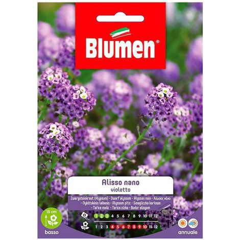 BUSTINA CON SEMI DI ALISSO VIOLETTO NANO