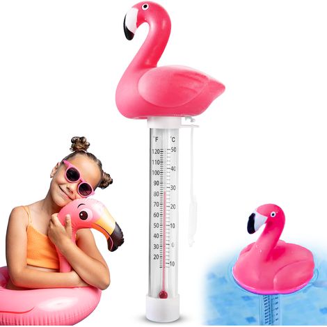 Termometro Heckermann per piscine infiammate (1/5)