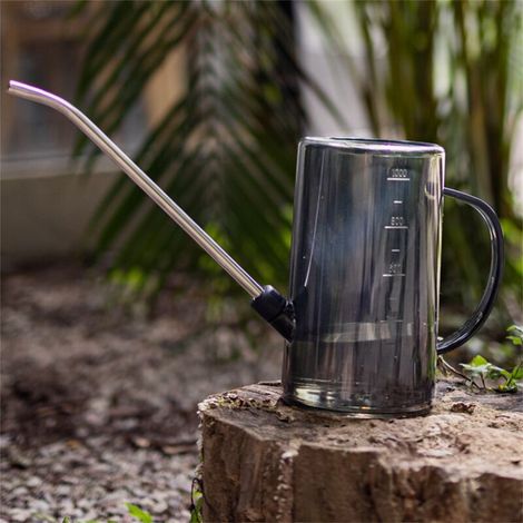 Transparente PP-Gießkanne (1 Liter) mit langem Ausguss für Zimmerpflanzen und Garten, Sternengrau