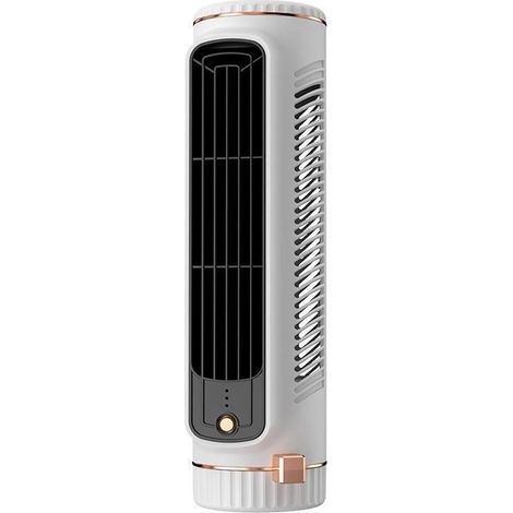 Ventilateur Voiture À Double Tête Électrique Horizontal (1/5)
