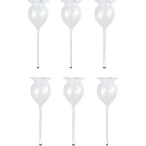 Lot de 6 arrosoirs à plantes avec globe d'arrosage automatique en verre transparent soufflé à la main. (1/5)