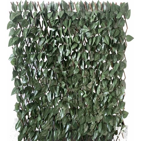 Arella Frangivista Estensibile 1x2m in Salice con Foglie di Lauro Garden Friend