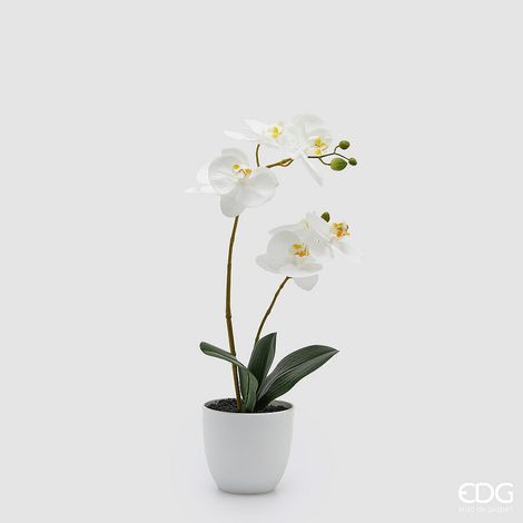 EDG Enzo De Gasperi Orchidea Phalaenopsis con Vaso e Foglie H 50 Cm Pianta Artificiale Bianco
