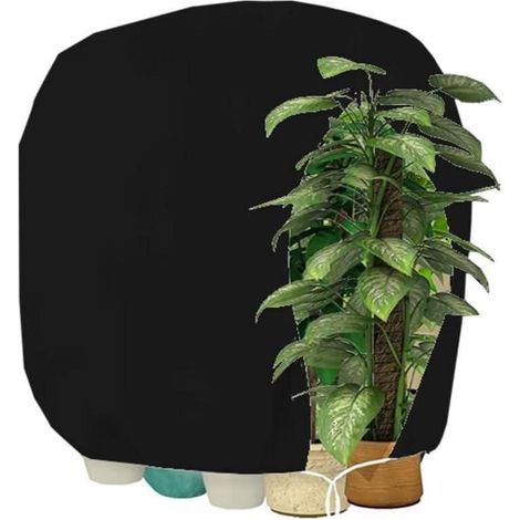 Pflanzenschutzhaube Winterschutz 190x220cm Schwarz atmungsaktiv reißfest (1/5)