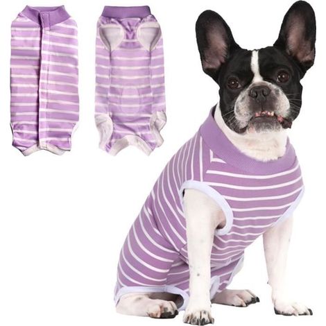 Combinaison de récupération chirurgicale pour chien - Blanc - Alternative au collier électronique (1/4)