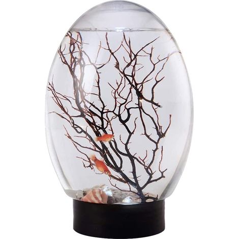 Aquarium Desktop - Sphérique En Verre Avec Base À LED - Pour Poissons Miniatures Et Plantes Vivantes - 8,2 x 19 x 12,5 cm - 1 Pièce (1/5)