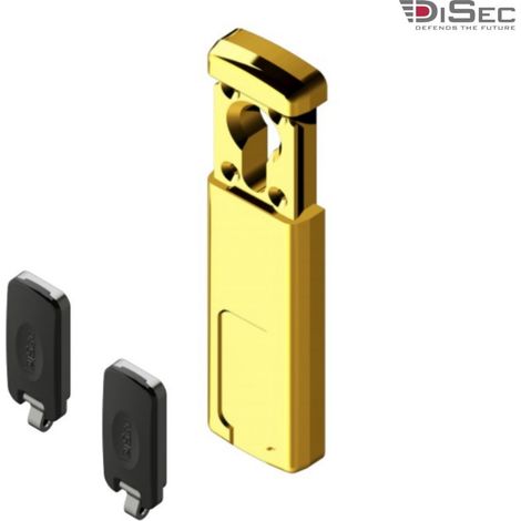 DEFENDER MAGNETICO PER CILINDRO EUROPEO OTTONE LUCIDO (1/3)