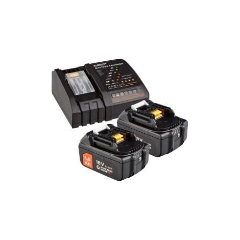 WS24 Kit de démarrage de batterie 18 V / 2x batteries 5,0 Ah + chargeur rapide