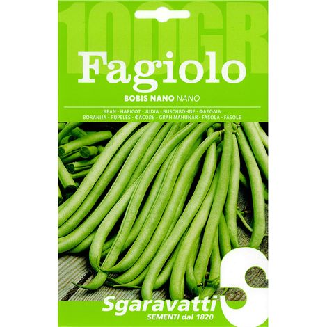 Semi per Fagioli Fagiolo Bobis Sgaravatti Bianco 250 gr