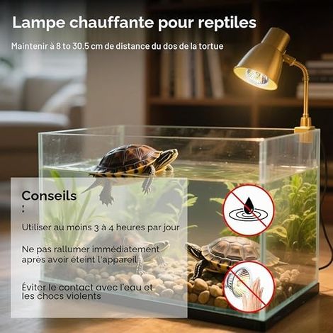 Terrarium Heat Bulb, 4 Pieces 25 W UVA UVB Tortoise Dimmable Lamp Terrarium Tortoise Chick Heat Lamp for Lizard Bearded Dragon Snake (1/4)