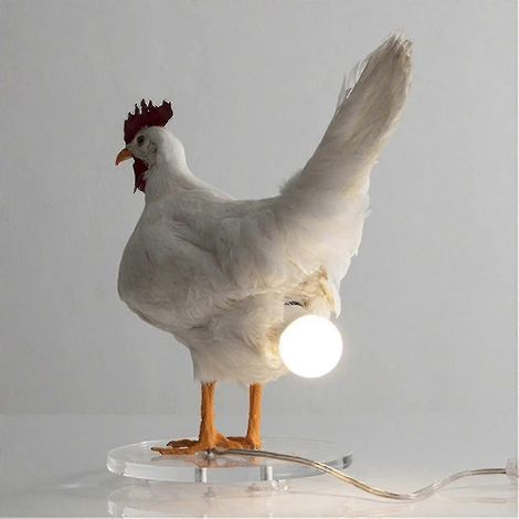Lampe de nuit LED en forme d'œuf de poule, lampe de bureau en forme d'œuf naturalisé de haute qualité (1/5)