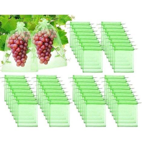 Sac Protection Raisins 60 Pièces Organza Vert avec Cordon Filets Anti Oiseaux Insectes Guêpes Frelons 20x30cm (1/4)