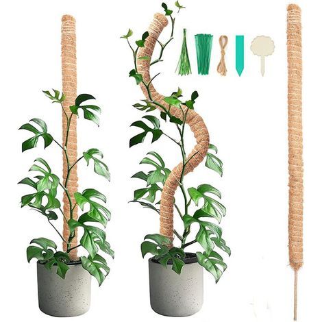 2 pièces 90CM bâton de mousse pliable avec 2 pièces de 2M de long corde de chanvre, bâton de noix de coco pour plantes, aides à l'escalade pour plantes grimpantes, support de plantes de jardin (1/5)