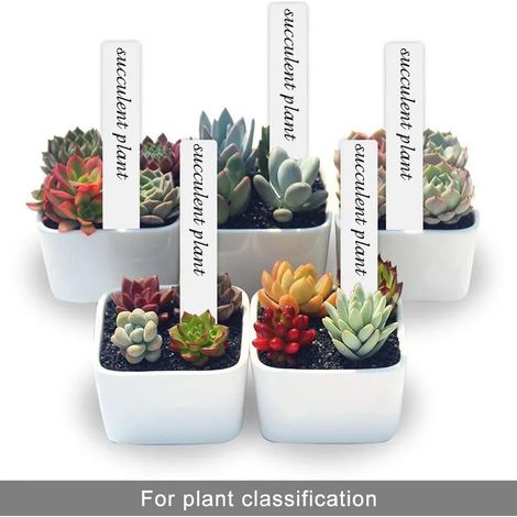100 étiquettes blanches imperméables en plastique pour plantes, outils de jardin, décoration, pots et aménagement paysager