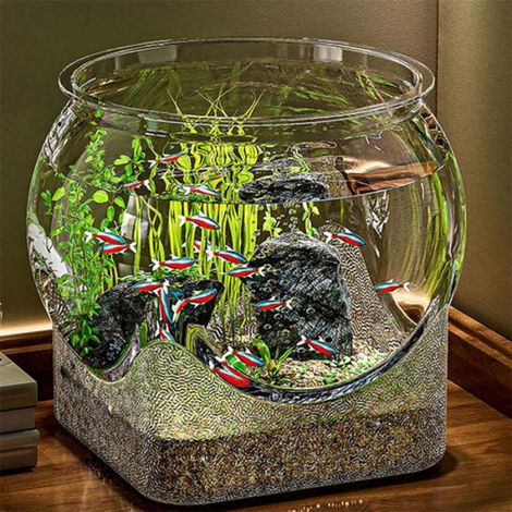Bol aquarium pour poissons, adapté pour bureau, toutes spécifications conservées, sans marque, format titre e-commerce France 50-200 caractères (1/5)
