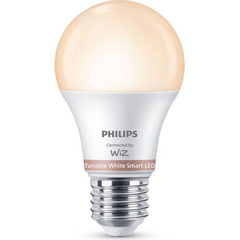 Philips Glühbirne 60W A60 E27 x2