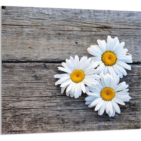 Panneau de verre pour la cuisine 65x60 Daisy (1/5)