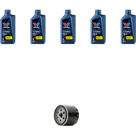 Kit filtro olio e 5L compatibile con Renault Laguna II 1.9 dci 79kw dal 2000 (1/2)