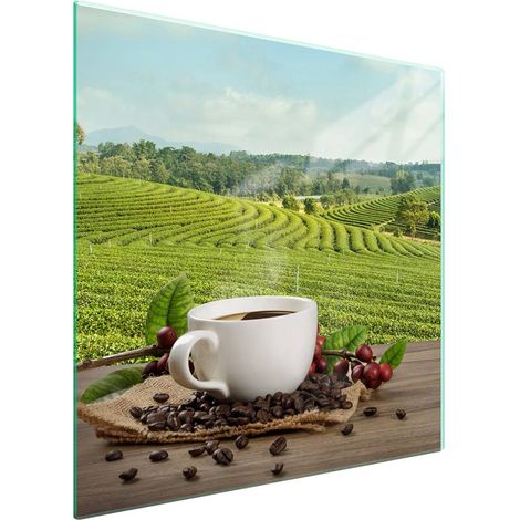 Protezione in vetro per piano cottura 50x52 Caffè (1/5)