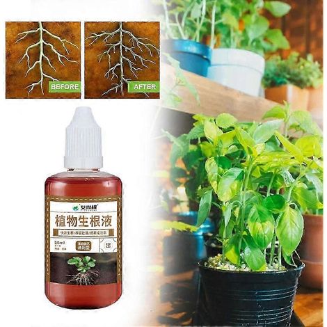Stimulateur d'enracinement pour plantes, agent stimulant l'enracinement, supplément pour racines (1/4)