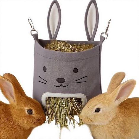 Il s'agit d'un sac à foin suspendu spécialement conçu pour les lapins - hamsters - chinchillas et autres petits animaux (1/5)