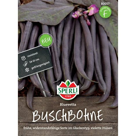 Sperli – Haricot nain Bluevetta – Graines de légumes, gousses bleu-violet, pour env. 3 à 4 mètres (1/2)