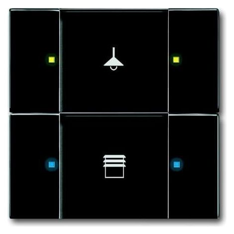 Poussoir 2 TouchesMultifonctions Noir Mat 2CKA006116A0217 ABB 587256