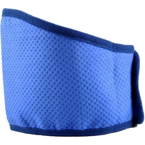 Collier rafraîchissant pour chien, tapis rafraîchissant, bandanas rafraîchissants respirants, collier de séchage pour chien, coup de chaleur (1/5)
