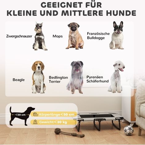Lit pour chien surélevé pliable 75x51x18 cm en polyester gris clair, pour extérieur FloraGrace (1/5)