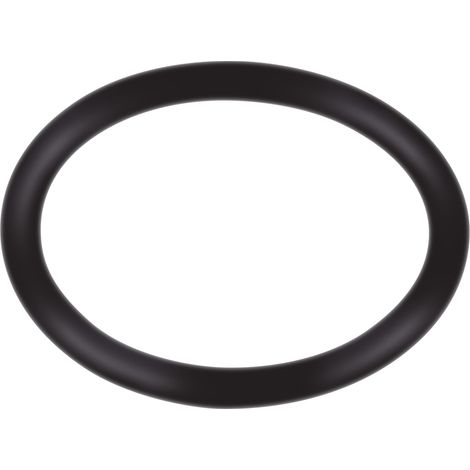 O-Ring-Satz für BMW N40 N42 N46 N45 VANOS-Magnetventil 6023