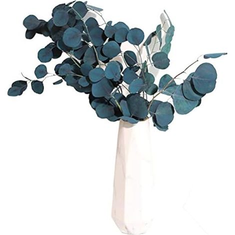 Fleurs Bleues Séchées, 40  20  5 Eucalyptus Fleurs Séchées Durée de Conservation éternelle Bouquet de Fleurs Séchées Décoration Maison Salon Décor (Bleu) (1/5)
