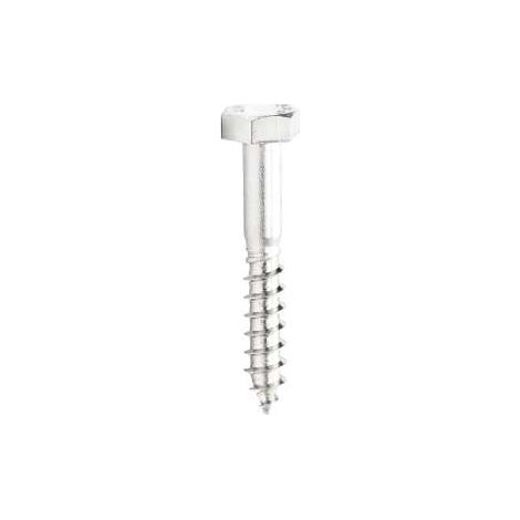 Tirafondi Testa Esagonale Inox Mm.6X50