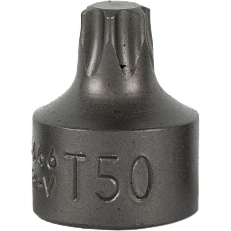 JBM16666 embout court TORX 3/8", T50 (réf. 54546)