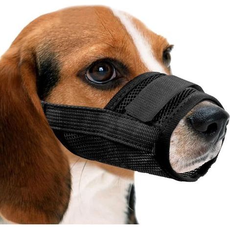 Atmungsaktiver, verstellbarer Nylon-Hundemaulkorb, Schnellverstellmaulkorb, Antibell- und Antibeißmaulkorb (M, Schwarz) (1/4)
