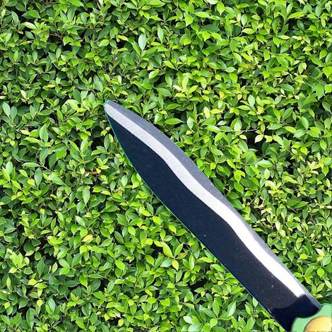 Cisaille à haies de jardin, lame tranchante, utilisation pratique, pour la taille et la mise en forme des branches de jardin (1/5)