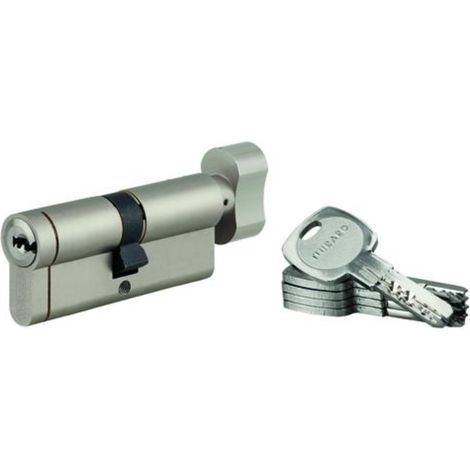 THIRARD - Lot de 10 cylindres à bouton Transit 1 40BTx30mm, nickelé, 5 clés - THIRARD (1/5)
