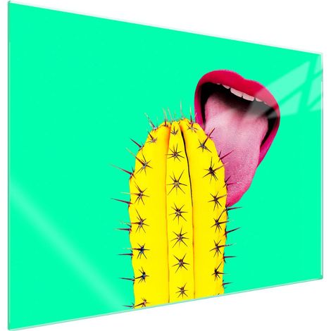 Protection de plaque de cuisson en verre 70x52 Cactus (1/5)