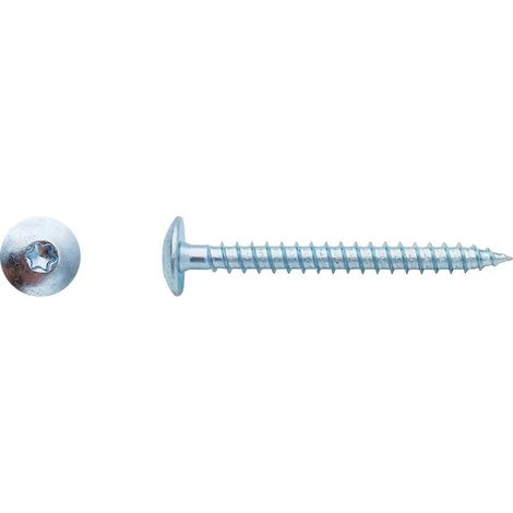100 Vis Bois pour Penture Torx 6 x 60 mm - Zingué blanc - D-Work