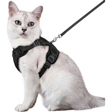 Laisse pour chat et petit chien - Harnais réglable pour chaton - Réfléchissant - Gilet respirant - Lapin européen - Chat Maine Coon - Chat persan - Laisse attachée S, Noir (1/5)