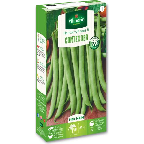 Vilmorin – Haricot nain vert Contender – Graines de potager – Exposition ensoleillée – Semis de mars à juin – Récolte de juillet à septembre