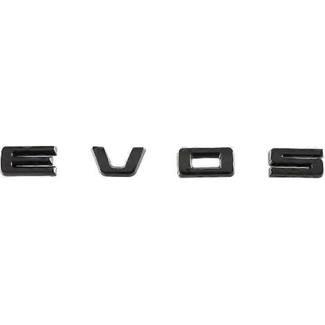 Passend für Ford Evos: Türgriffe hinten, Türgriffe hinten, Schutzbleche hinten, Nebelschlussleuchten hinten und weitere Außendekorationen – Schriftzug hinten, glänzend schwarz (1/5)